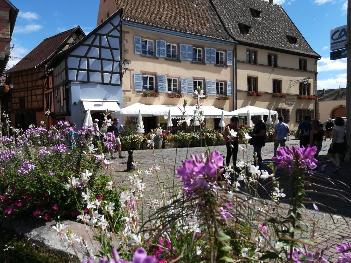 Gites Au Chateau Fleuri Eguisheim Luaran gambar