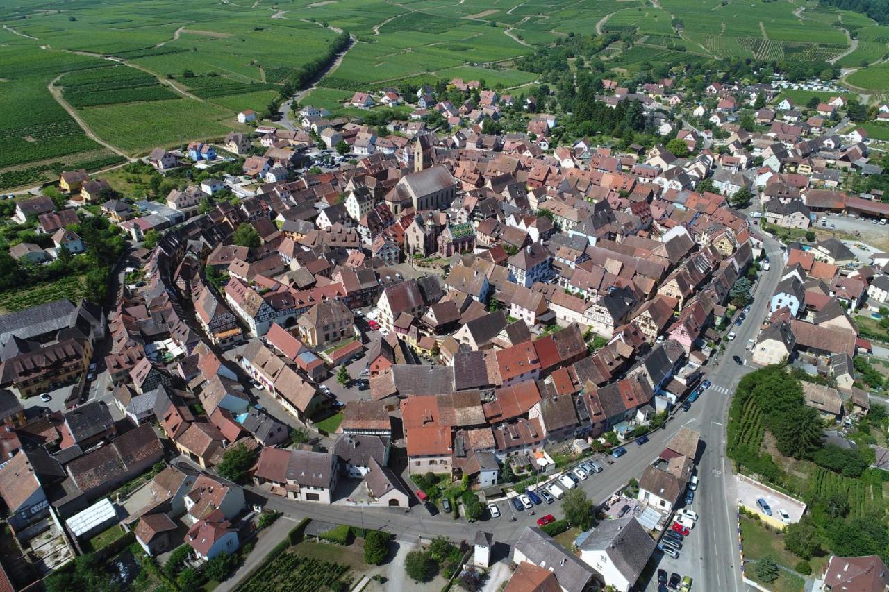 Gites Au Chateau Fleuri Eguisheim Bilik gambar