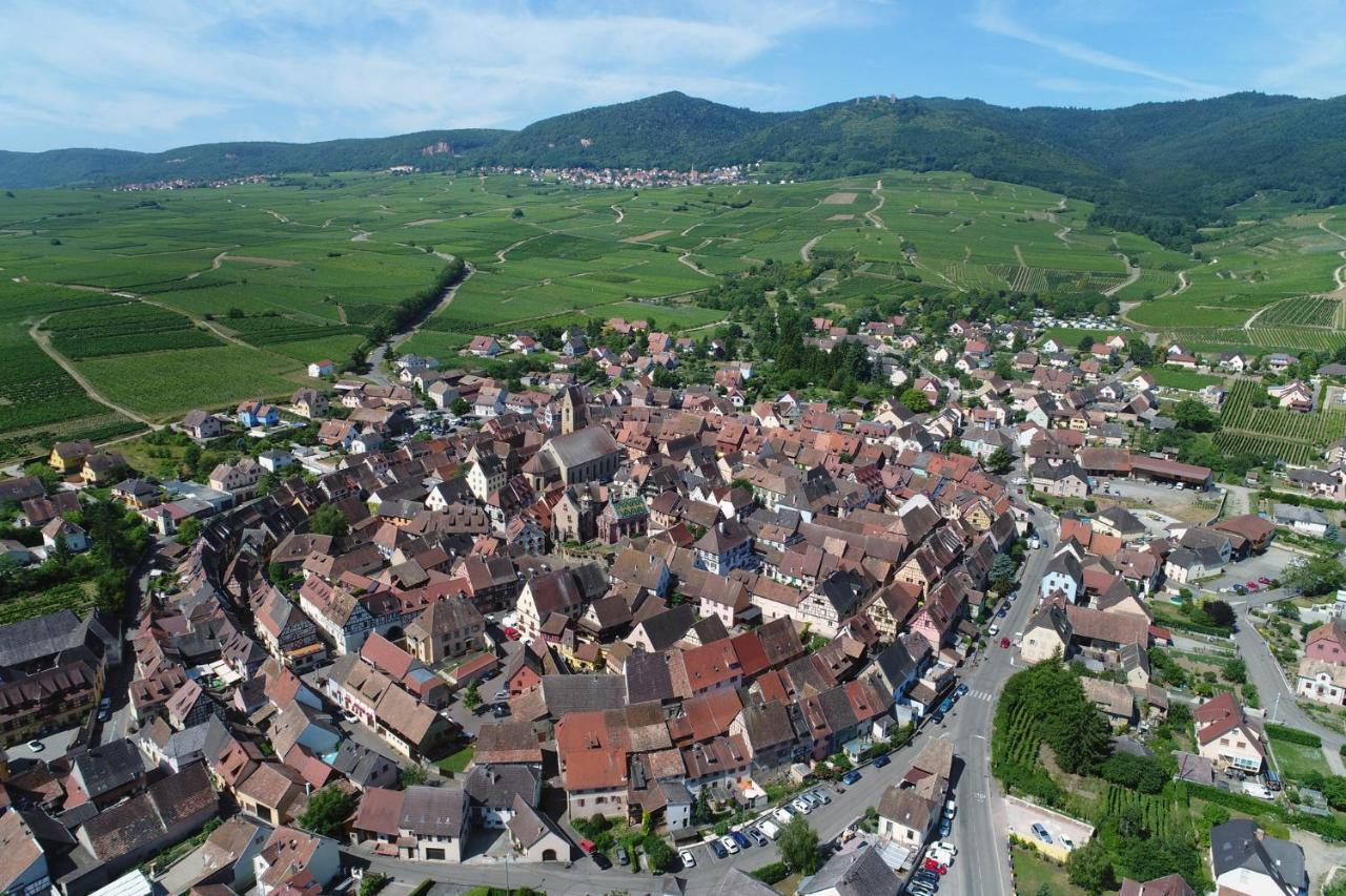 Gites Au Chateau Fleuri Eguisheim Bilik gambar