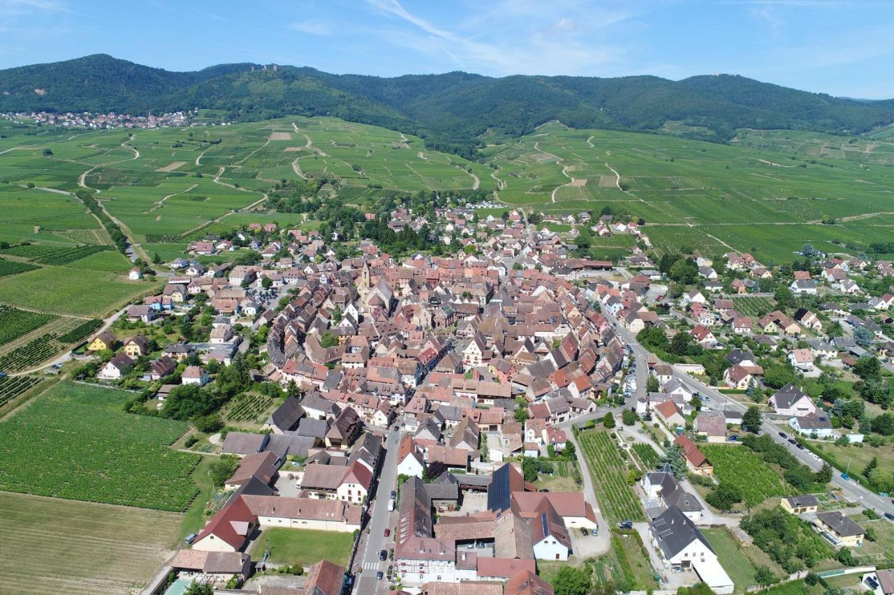 Gites Au Chateau Fleuri Eguisheim Bilik gambar